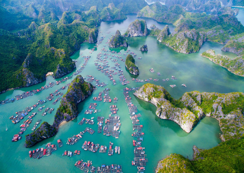 ​Budget Travel To Halong Bay Within 2 Days 